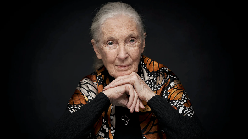 Jane Goodall Founder, Jane Goodall Institute and UN Messenger of Peace 2022 IWF International Hall of Fame